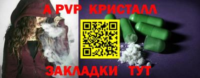 крисы Кингисепп
