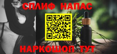 крисы Кингисепп