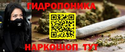 СК Кимры