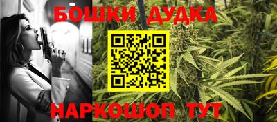 крисы Кингисепп