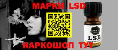 крисы Кингисепп