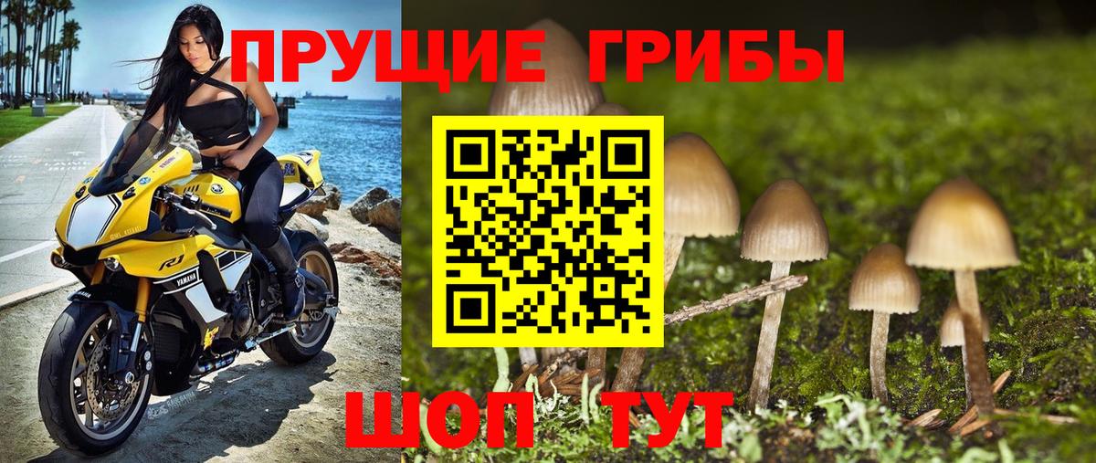 Галлюциногенные грибы прущие грибы Кубинка